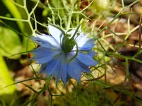 DSCF9461.webp