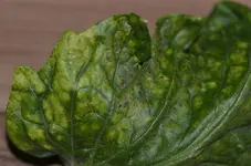 _DSC6538.webp