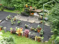 036_1067x800.webp