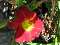 abex falsch2_1067x800.webp