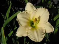 lullaby baby5_1067x800.webp