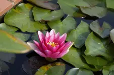_DSC9066.webp