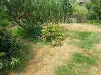 2015-08-14      Wo das Wasser nicht reichte.webp