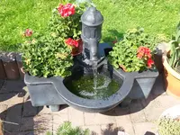 2015-08-13 Getürkte Wasserspiele.webp
