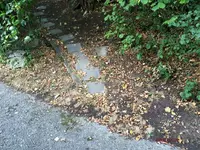 G_Feldweg zur Wiese__15.08.2015_mr.ditschy.webp