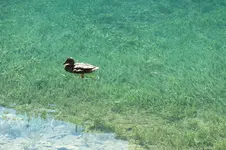 DSCF2572.webp