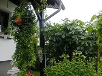 DSCF9068.webp