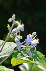 DSC_5047.webp