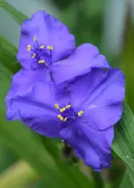 DSC_5067.webp