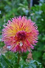 DSC_5073.webp