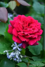 DSC_5075.webp