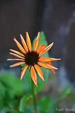 DSC_5084.webp