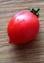 Tomate.webp