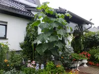 DSCF9179.webp