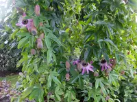 DSCF9170.webp