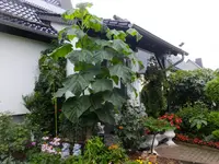 DSCF9178.webp