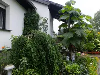 DSCF9181.webp