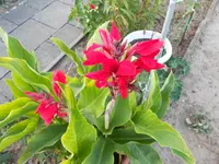DSCN1502.webp