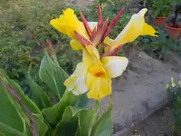 DSCN1501.webp