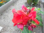 DSCN1499.JPG