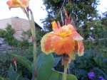 DSCN1498.JPG