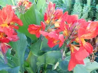 DSCN1497.webp