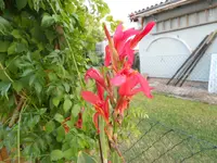 DSCN1507.webp