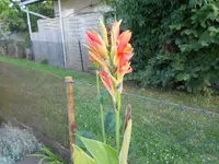 DSCN1506.webp