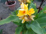 DSCN1504.JPG