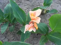 DSCN1503.webp