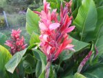 DSCN1511.JPG