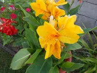 DSCN1513.webp
