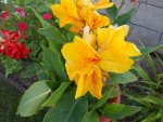 DSCN1513.JPG