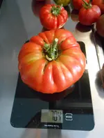 DSCN3199.webp