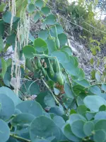 DSCN3098.webp