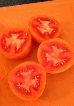 Zlatava reif.webp