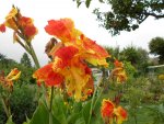 DSCN1528.JPG