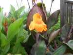 DSCN1530.JPG
