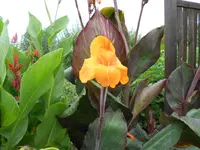 DSCN1530.webp