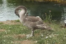 DSCF2830.webp