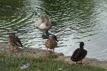DSCF2832.jpg