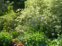 DSCN8875.webp