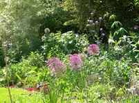 DSCN8881.webp