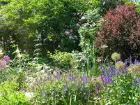 DSCN8928.webp