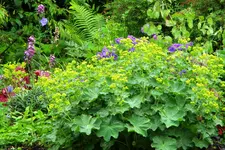 DSCN8974.webp