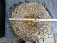 20150818_124847.webp