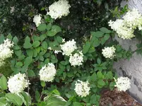 026_1067x800.webp