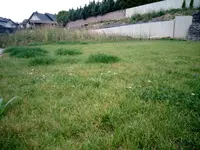 IMG_20150818_193402.jpg