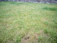 IMG_20150818_193423.jpg
