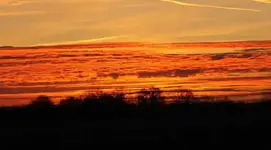 16803689cq[1].webp